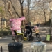 Police Crack Down on Pedicabs; Dozens Seized and ‘Con’ Revealed