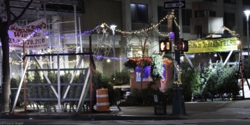 Most of the Christmas Trees Are Gone