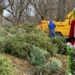 Help and Have Fun at Riverside Park’s Mulchfest: Saturday, January 6th, 10 a.m. – 2 p.m.