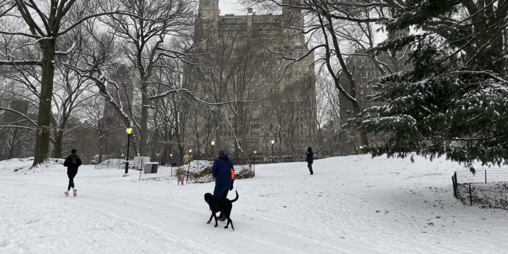 Record Snow Drought Finally Ends in Central Park 701Day Streak Snapped