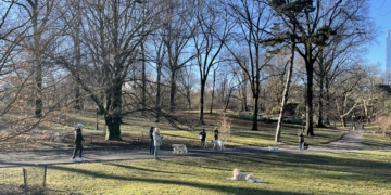 Monday Bulletin: Central Park’s $64M Sidewalk Restoration Project; UWS Barnes & Noble Unionizes; Changes to NYC’s Right-to-Shelter for Migrants; Thoughts From Florida and Learning to Drive