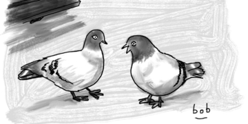 Setting the Record Straight on ‘Rats With Wings’