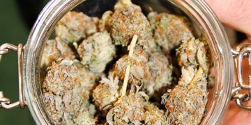 First Legal Cannabis Shop Will Open on the UWS Within a Month: What To Know