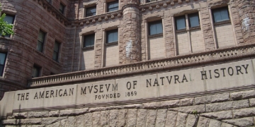 Museum of Natural History Might Serve as Voting Site Amid Complaints From UWS Schools