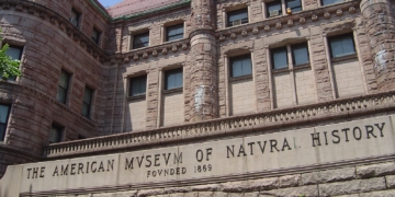 Museum of Natural History Might Serve as Voting Site Amid Complaints From UWS Schools