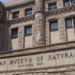 Museum of Natural History Might Serve as Voting Site Amid Complaints From UWS Schools