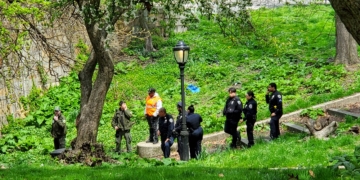 Homeless Individual Rousted from Riverside Park by Contingent of Officials on Saturday Morning