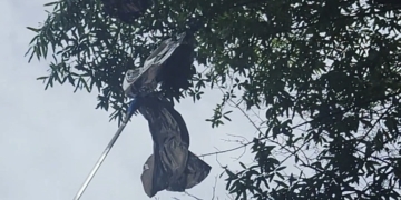Balloon Snagging on Amsterdam Avenue