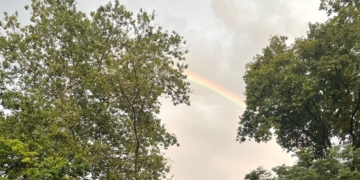 Monday Bulletin: Head of UWS School Resigns After Turmoil Over Gaza War; 86th Street Mailboxes Go Missing; UWS Tenants Rally Against Landlord; ‘The Princess of West 72nd Street’