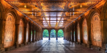 Weekend Column: A Central Park Moment