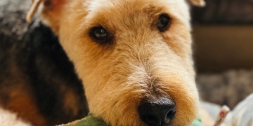 Ruthless Advice for Upper West Siders: All of the Answers With None of the Expertise