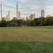 Following Closure From Global Citizen Festival, Central Park Great Lawn Reopened Last Weekend