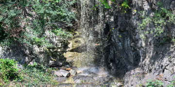 Morningside Park Waterfall Flows Again After Long Hiatus