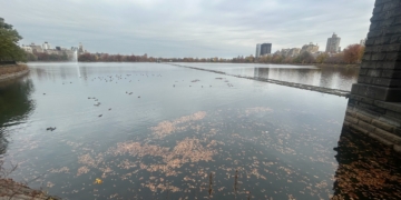 Normally Hidden Structure Emerges From Central Park Reservoir Amid Drought