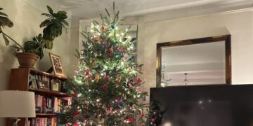 When Is The Right Time To Get Rid of Your Christmas Tree?