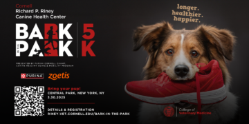Bark in the Park – 5K Fun Run & Walk: A Celebration of Canine Health and Community