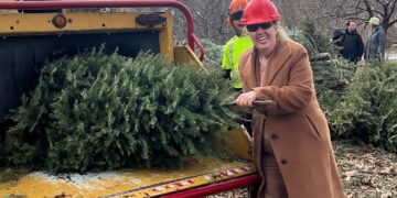 Mulchfest 2025 Chipped Over 1,200 Christmas Trees in Riverside Park