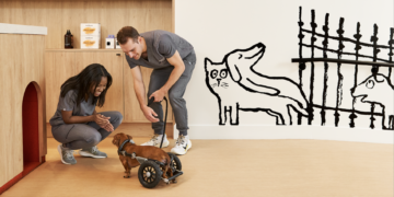 How Small Door is Redefining Veterinary Care on the Upper West Side 