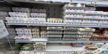WSR Investigation: How Much Does a Dozen Eggs Cost Across the Upper West Side?