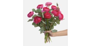 UWS Weekend: Great Things To Do in the Neighborhood