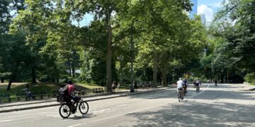 Central Park Set to Repave Roads Over Next 6 Weeks: What to Know
