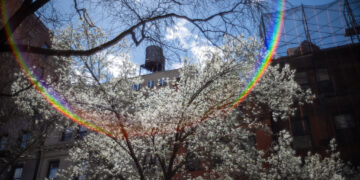 This Bud’s For You, Upper West Siders