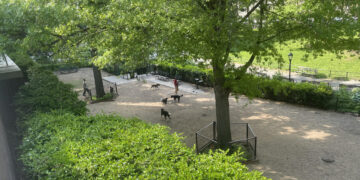 Upper West Side Dog Attack Spurs Upcoming Webinar and Workshop on How to Respond