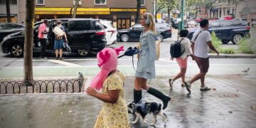 Planet Cool, Revisited: How Are We Making the Upper West Side Look?