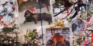 Upper West Side, I’m Feeling You!