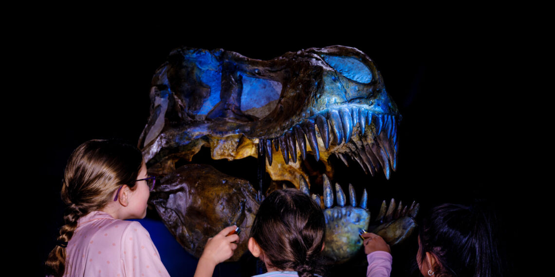 After 5-Year Hiatus, Sleepovers to Return to the American Museum of Natural History on the UWS