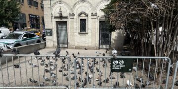 Locals Push to Reactivate 96th Street Community Art Space Taken Over by Rat and Pigeon Swarms