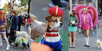Doggy Trick-or-Treating Event this Weekend on the UWS: What to Know