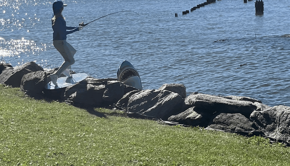 Shark Spotted in Hudson River?