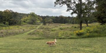 Other People Are Keeping Me Going