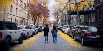 Hugged by Greens: Sandwich Time on the Upper West Side