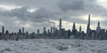 Central Park Covered in Snow: See Photos