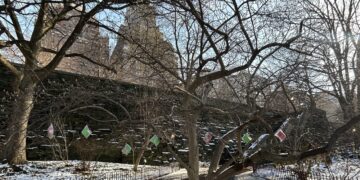 A Gift Bag Mystery is Sitting in The Riverside Park Foliage