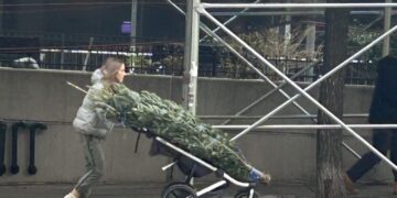 What Are You Paying This Year to Bring Home a Christmas Tree on the Upper West Side?