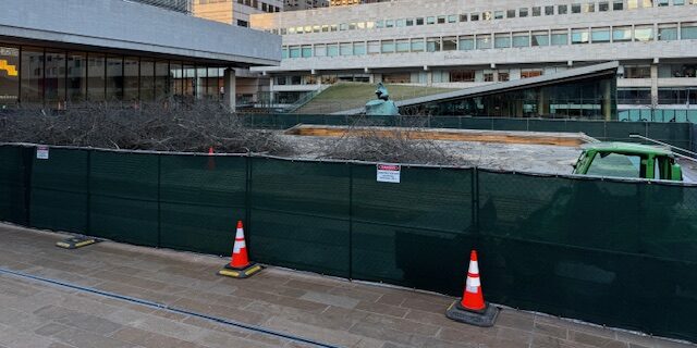 Dozens of Trees Removed From UWS Lincoln Center Plaza: Here’s Why