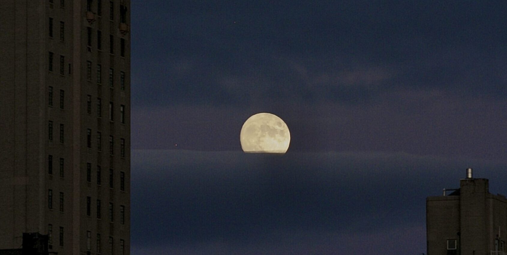 What UWS Litter Says About the Neighborhood; Congestion Pricing, One Year Later; A Coyote's Icy Trek in Central Park; Extell Building's First Resale