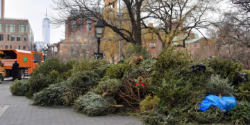 Where to Responsibly Dispose of Your Christmas Tree on the Upper West Side