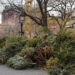 Where to Responsibly Dispose of Your Christmas Tree on the Upper West Side