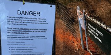 Someone is Reportedly Dumping ‘Dangerous’ Orange Powder To Ward Off Dogs in UWS Park