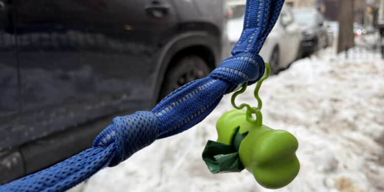 Upper West Side Dog Owners: Please Pick Up After Your Dogs!