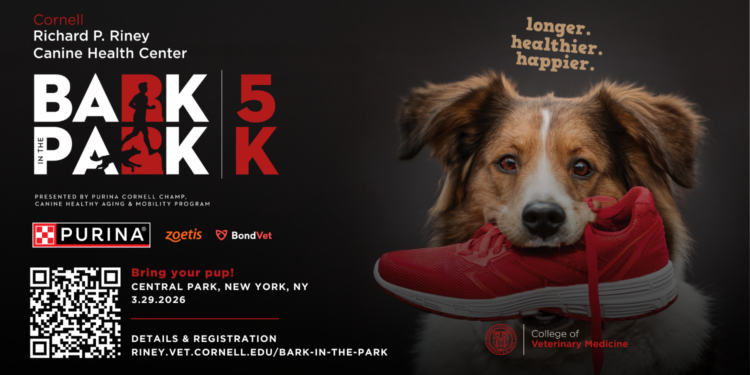 Bark in the Park – 5K Fun Run & Walk: Making Strides to Improve Canine Health