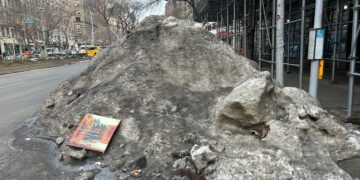 Monday Bulletin: Central Park Coyotes Romeo & Juliet Make the News; UWS Co-op Board Threatens to Sue Investment Firm; Milestone Anniversary for the Grand Bazaar