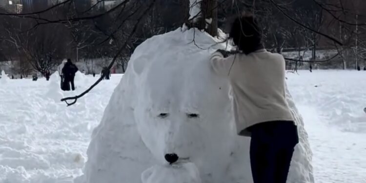 Monday Bulletin: Why Gen Z Isn’t Running to Replace Nadler on the UWS; Curating Russia’s Banned Books; Cuban-Chinese is the ‘Mom-and-Pop’ of Fusion Cuisine; Another Multimillion-Dollar UWS Brownstone Up for Sale