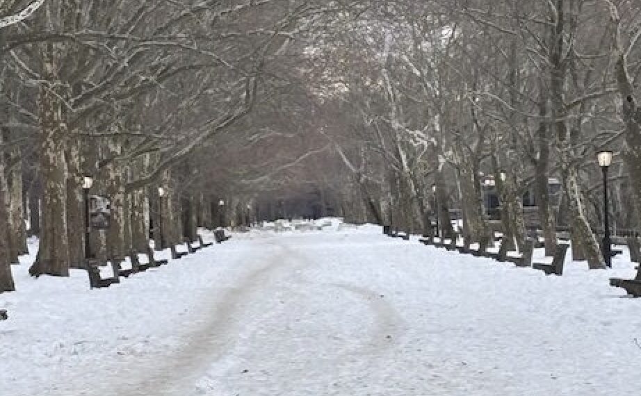 Icy Stretch Leaves Parts of Riverside Park Impassable