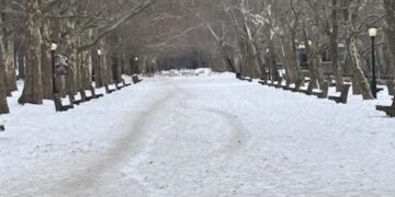 Icy Stretch Leaves Parts of Riverside Park Impassable