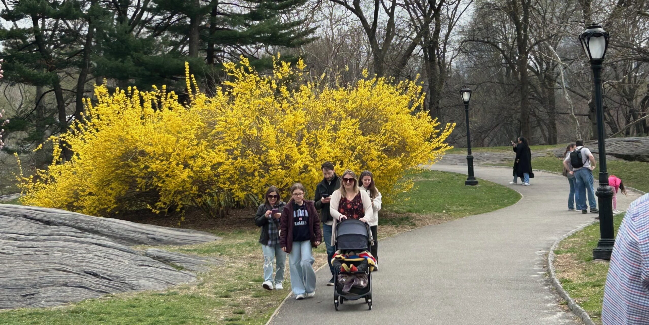 Monday Bulletin: Avian Influenza on the Rise in NYC; Chef Who Helped Put UWS on Culinary Map Dies After Short Illness; UWS Activist ‘Still Burns After 50+ Years’; UWS April Real Estate Sales Off to a